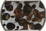Sericho Pallasite Dog Tag Meteorite Pendant - Kenya #239468-1
